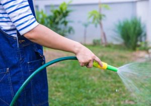 La mangueras de riego extensibles ¿qué tener en cuenta al elegir una manguera para tu jardín?